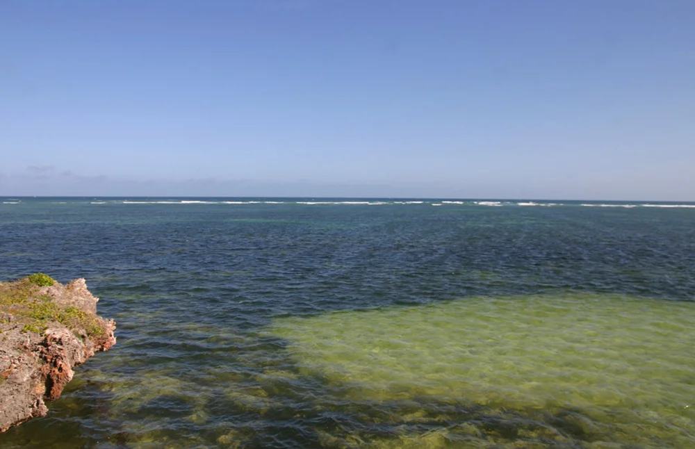 NVTS2-sea.jpg