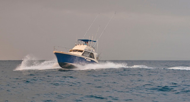 Fishing In Watamu Discoverwatamu