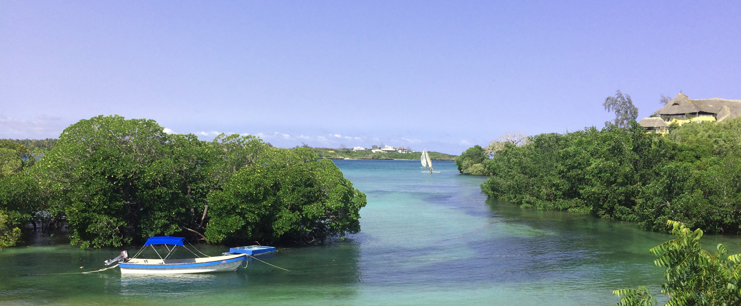 View-over-creek.jpg