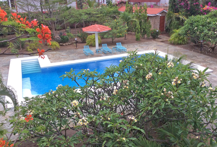 Main-garden-pool.jpg
