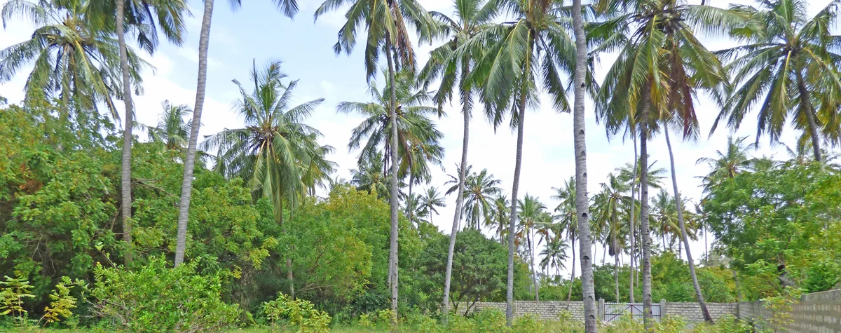 MFRM02-banner.jpg