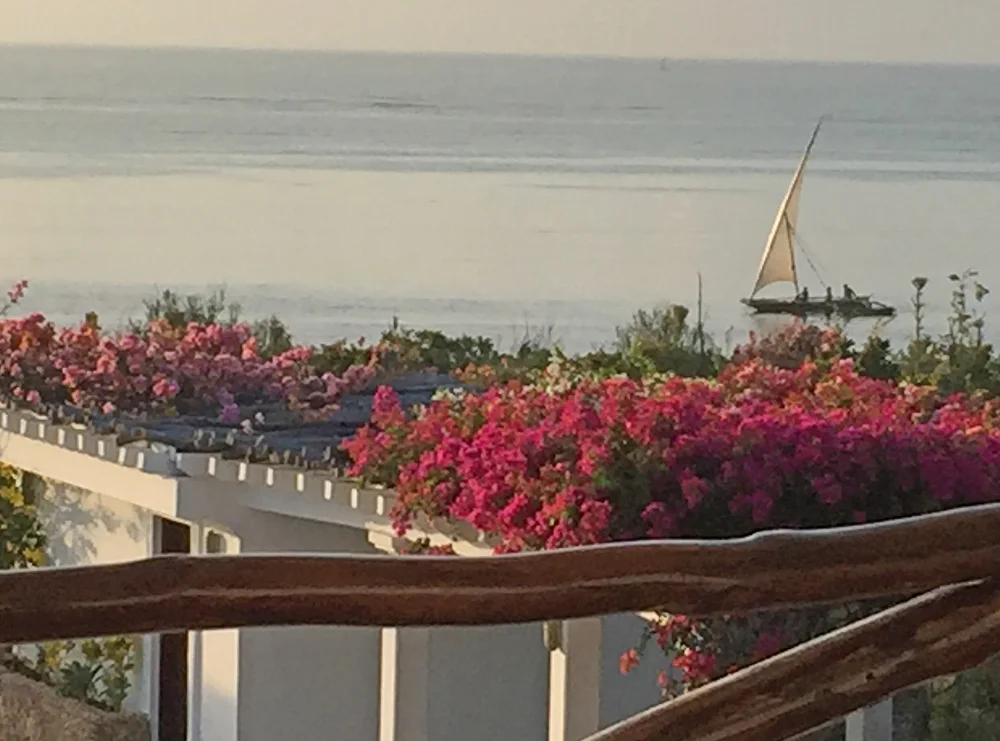 Mwezi-sunrise-dhow.jpg
