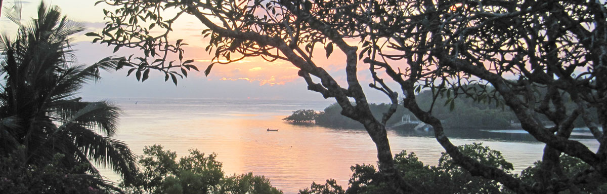 Mtwapa-banner.jpg