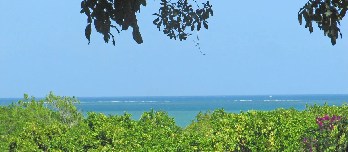 Mtwapa-day-view-banner.jpg