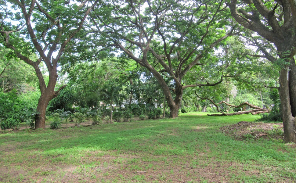 Mtwapa-land.jpg