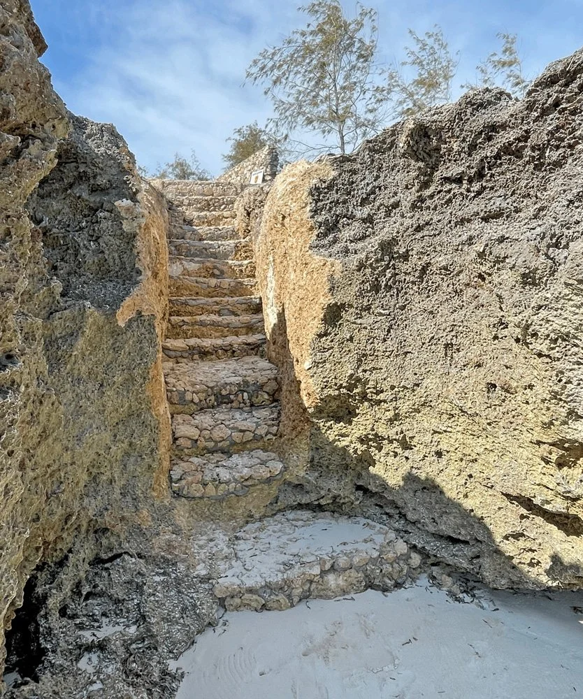 NVP10-beach-steps.jpg