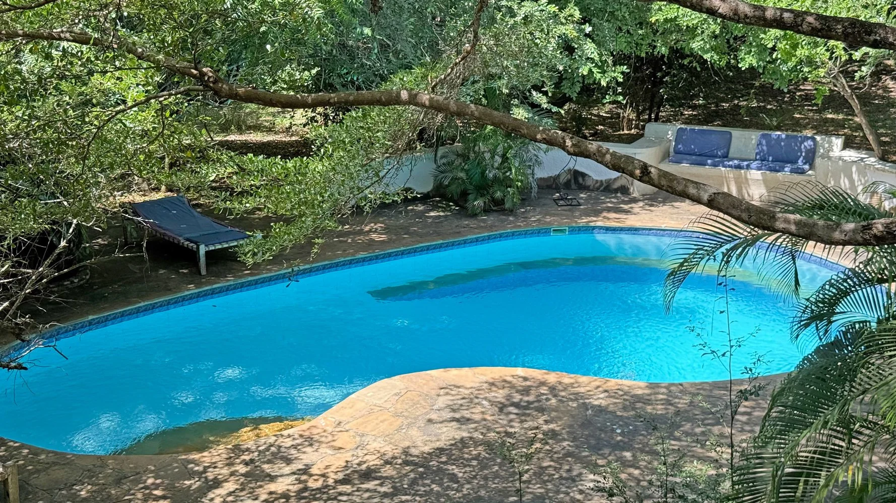 WH-down-on-pool.jpg