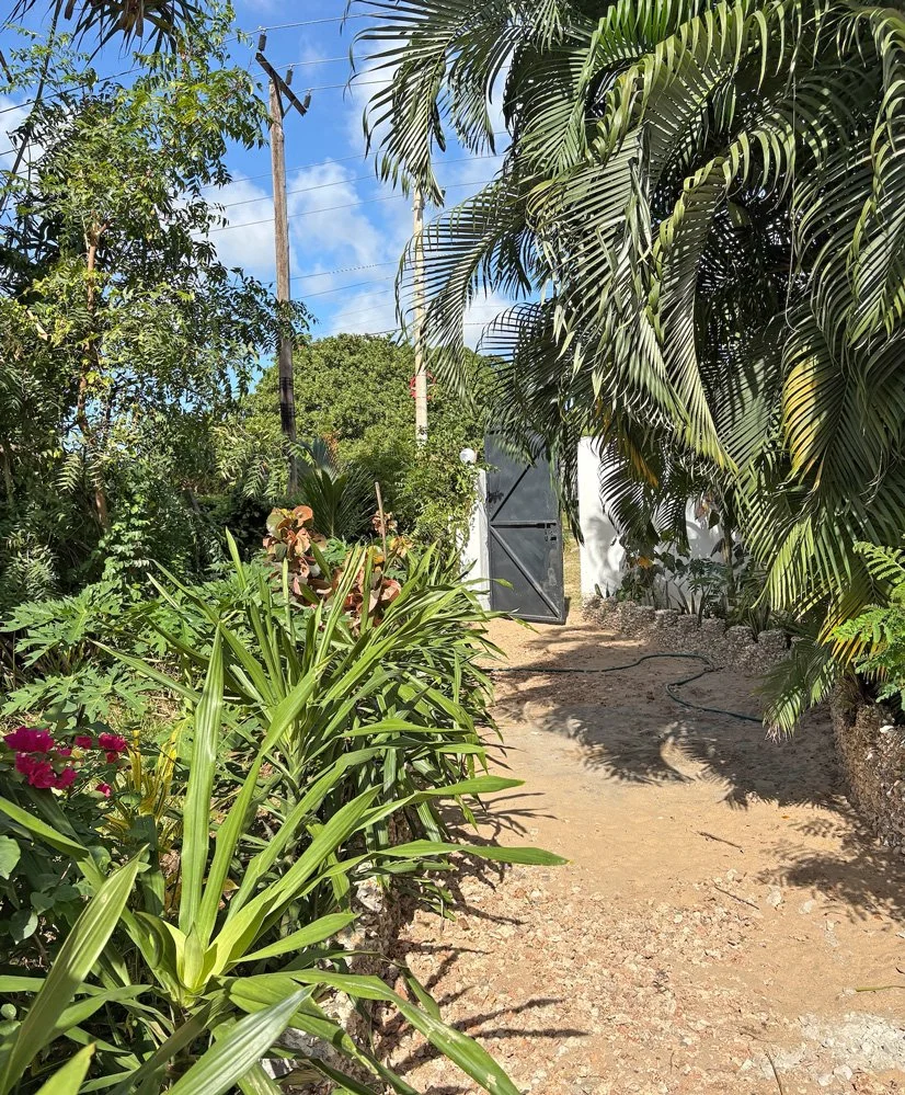 MALR02-path.jpg