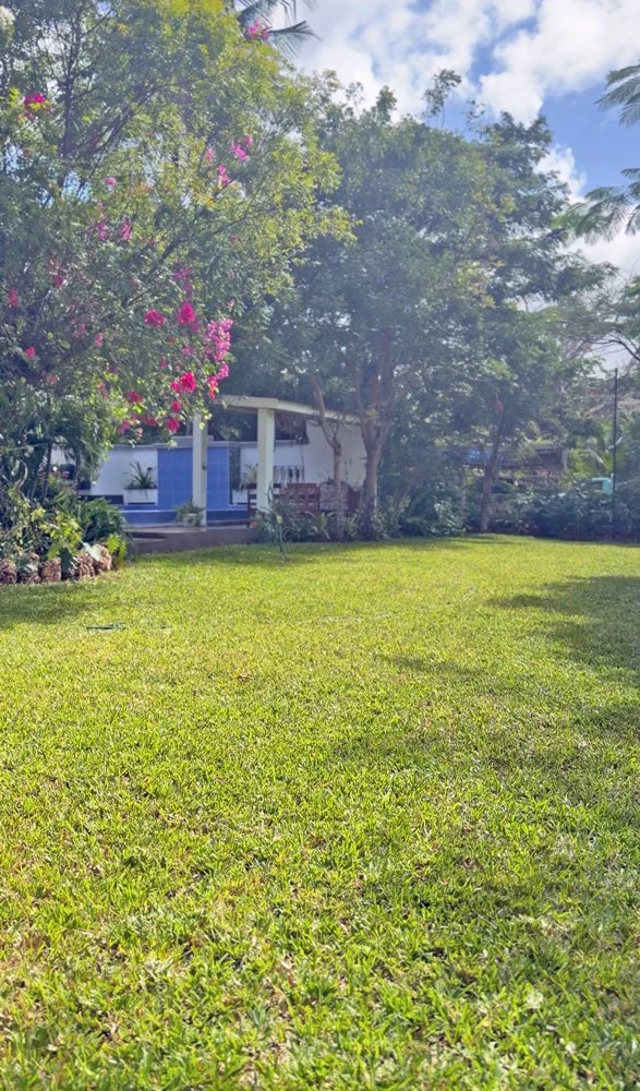 MLDR02-garden2.jpg