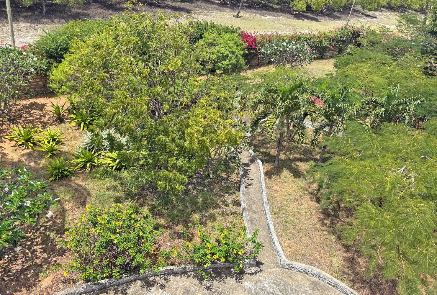 PL05-garden.jpg