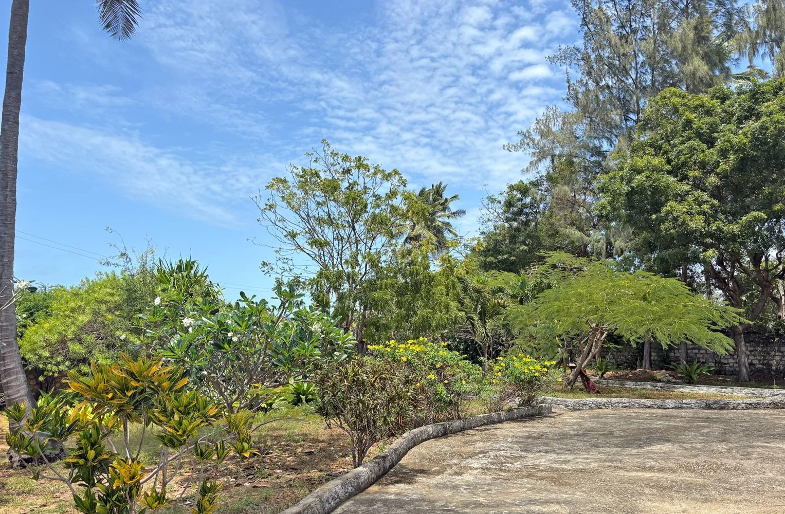 PL05-garden6.jpg