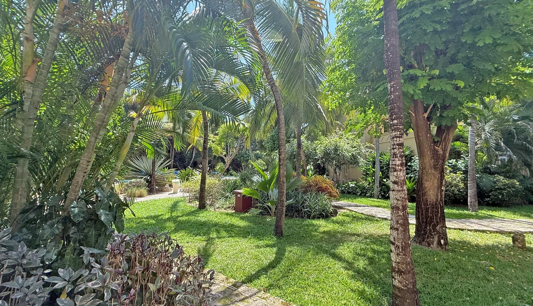 BMP12-garden2.jpg