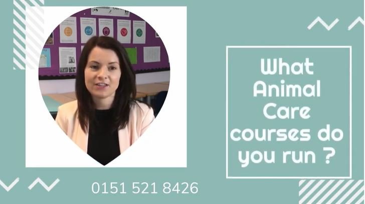 Animal Care courses — Merseyside Career Development and Training