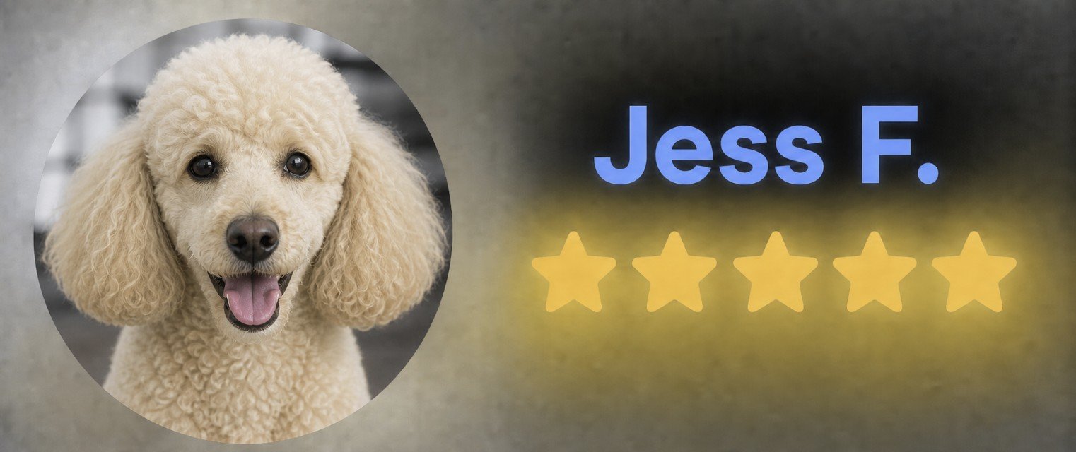 DOG GROOMING TRAINING COURSES LIVERPOOL