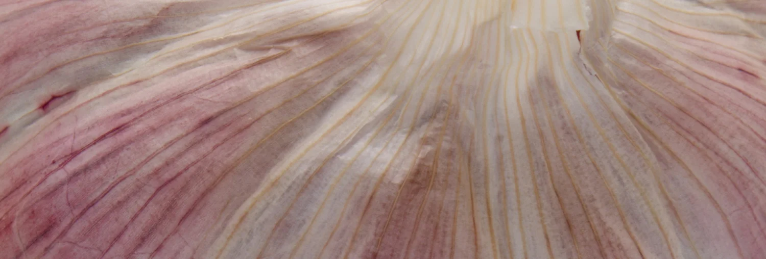 garlic.jpg