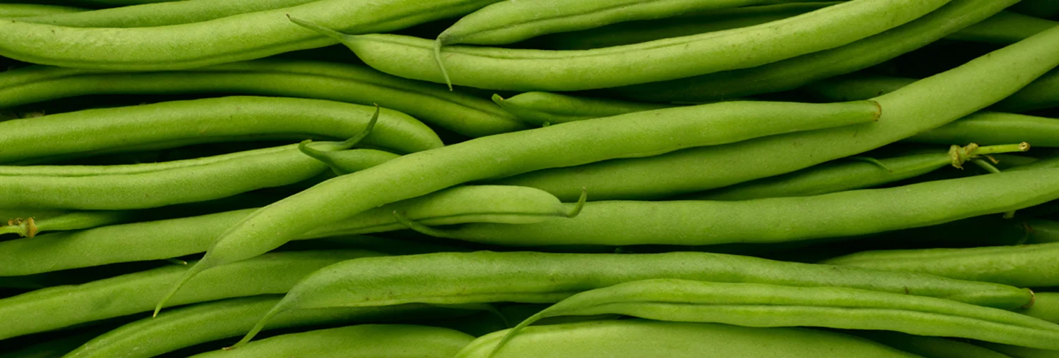 beans.jpg