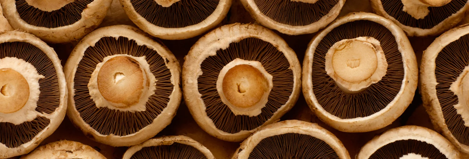 mushrooms.jpg