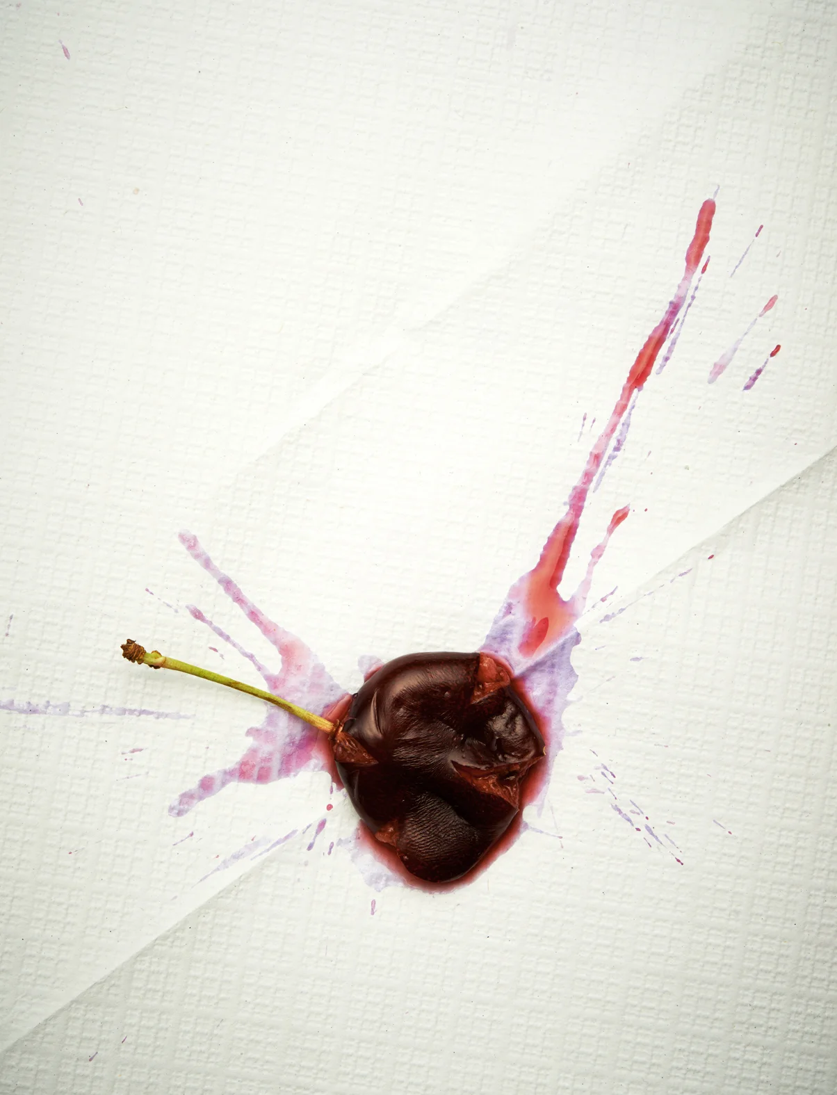 squshed cherry0073 copy.jpg