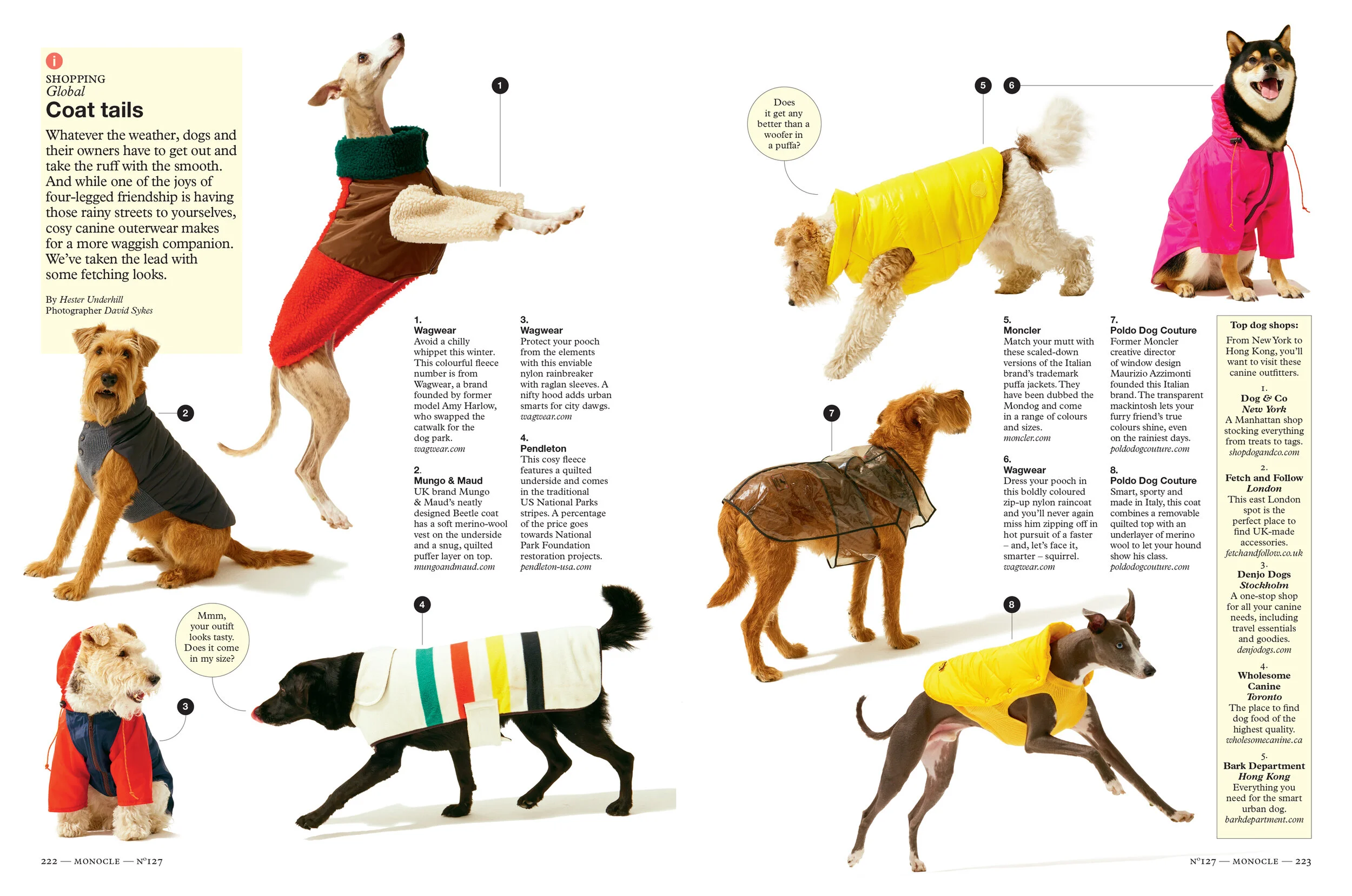 127_INV_Still-life_Dogs-1.jpg