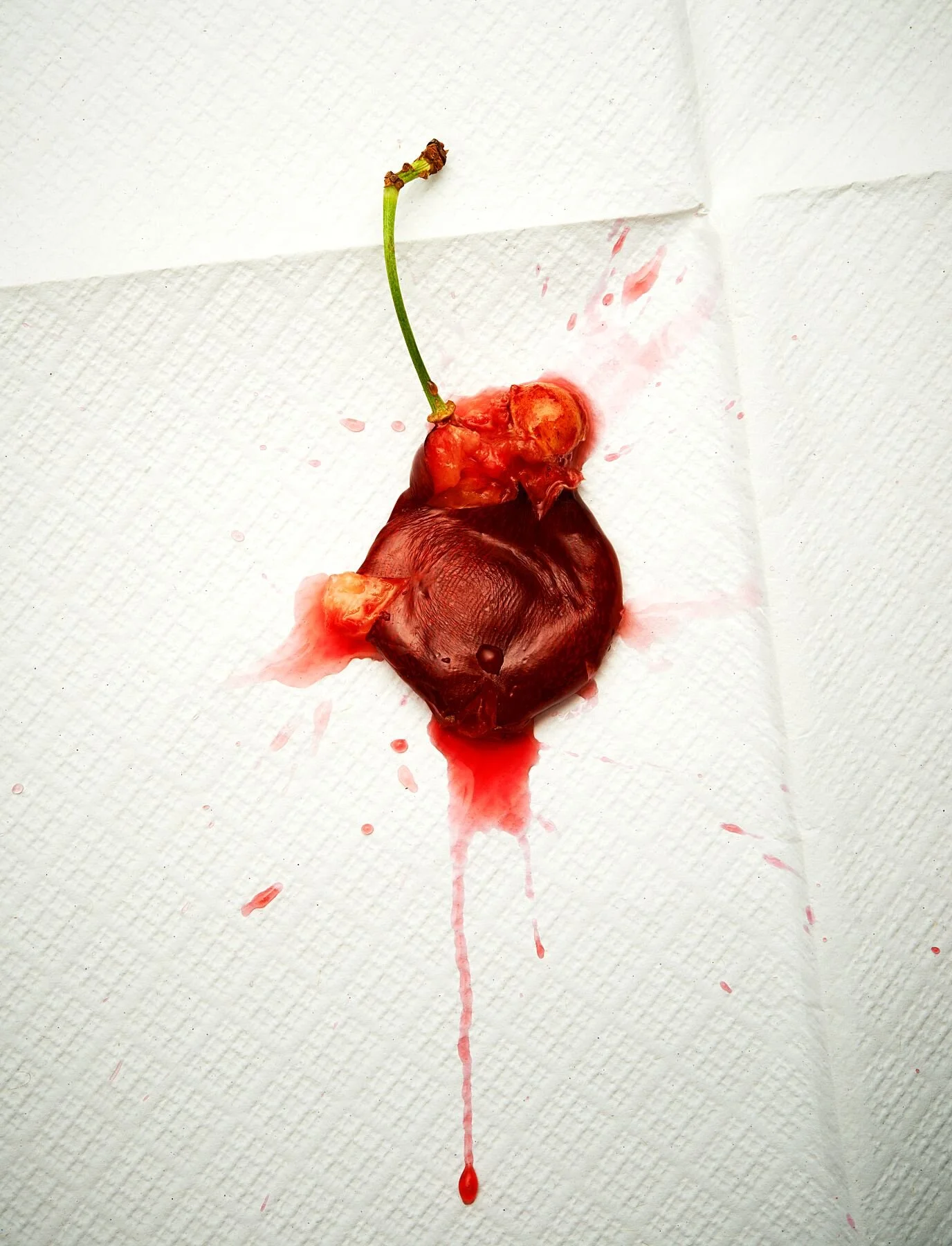 8927054.jpg