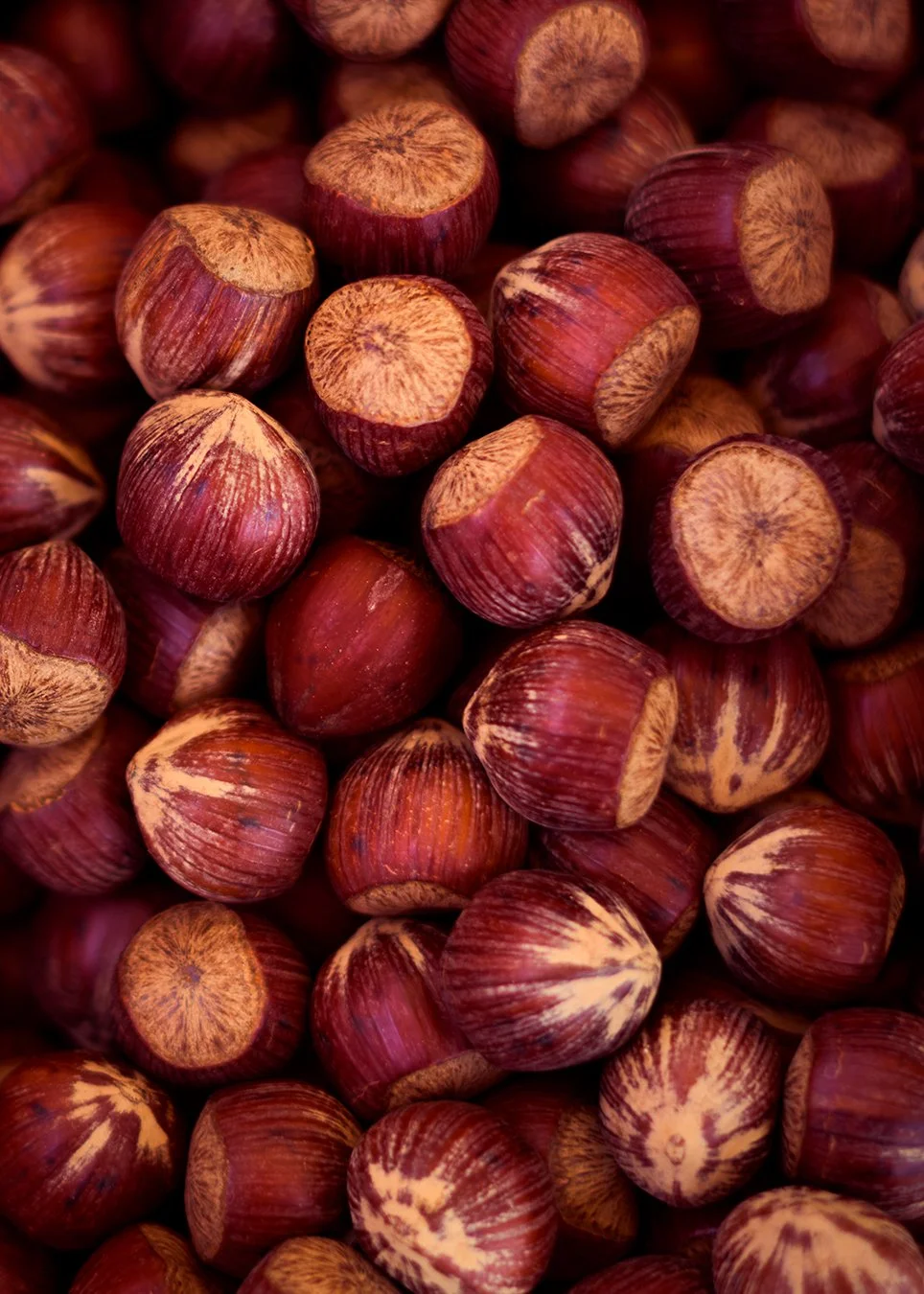 hazelnuts.jpg