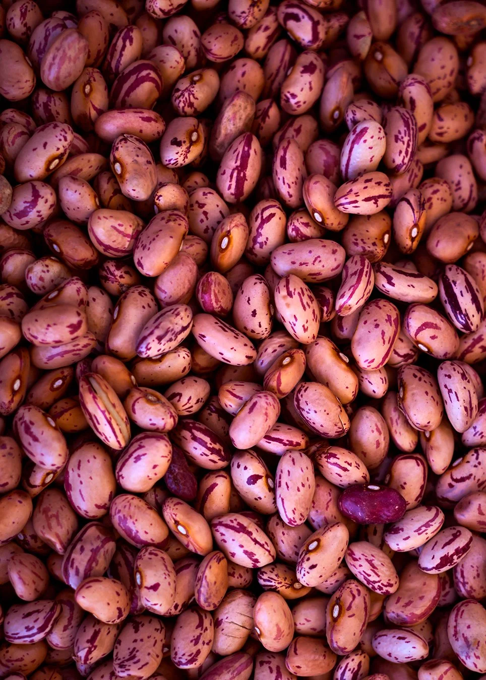 beans.jpg