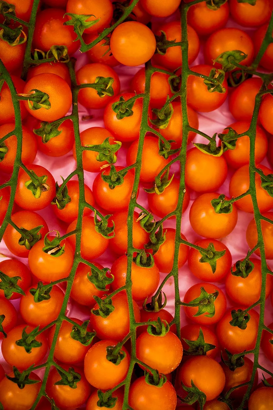 tomatoes-2.jpg