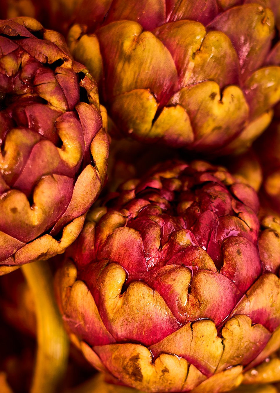 artichoke-2.jpg