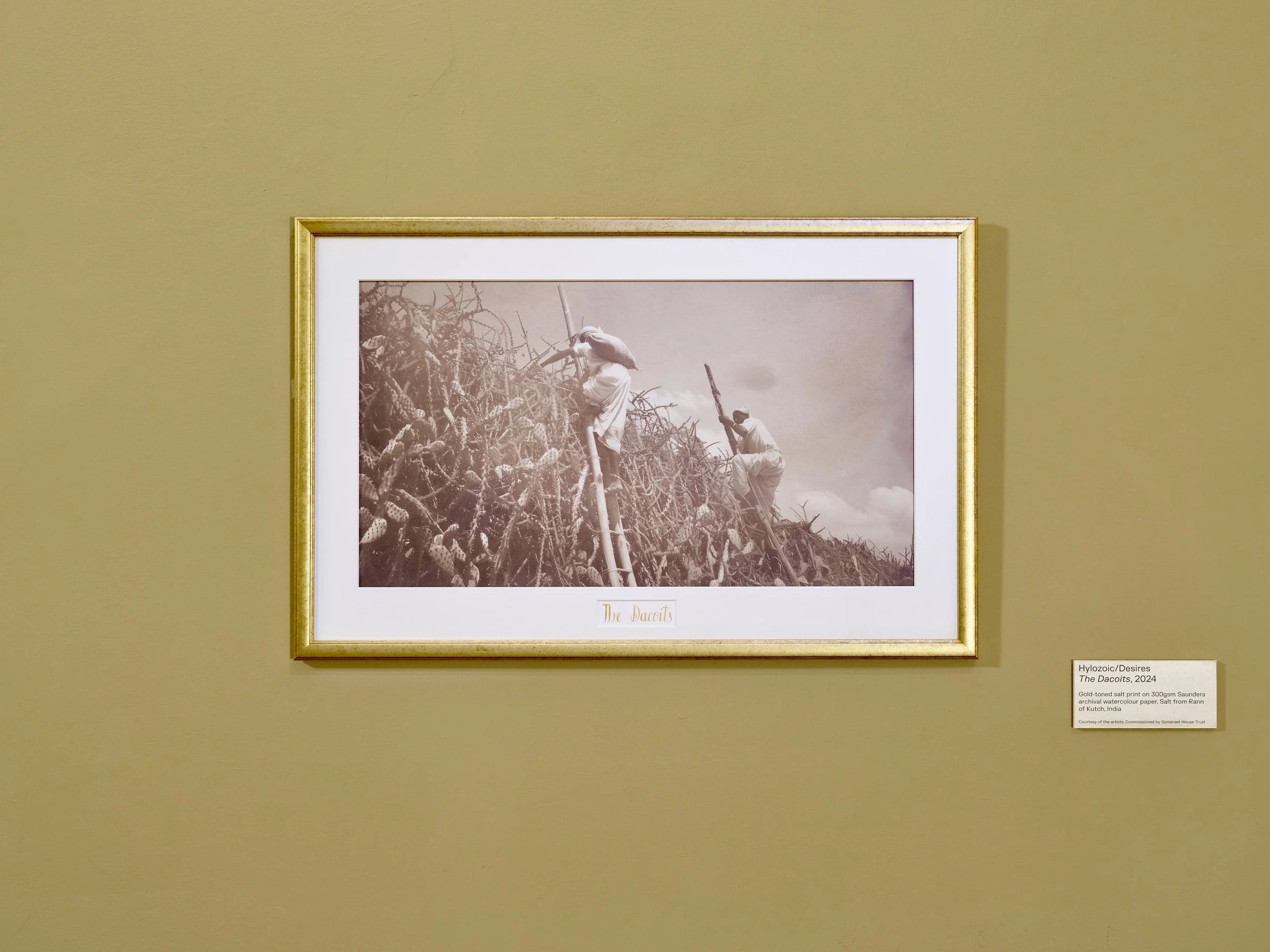  Image courtesy Reinis Lismanis/Somerset House Trust 