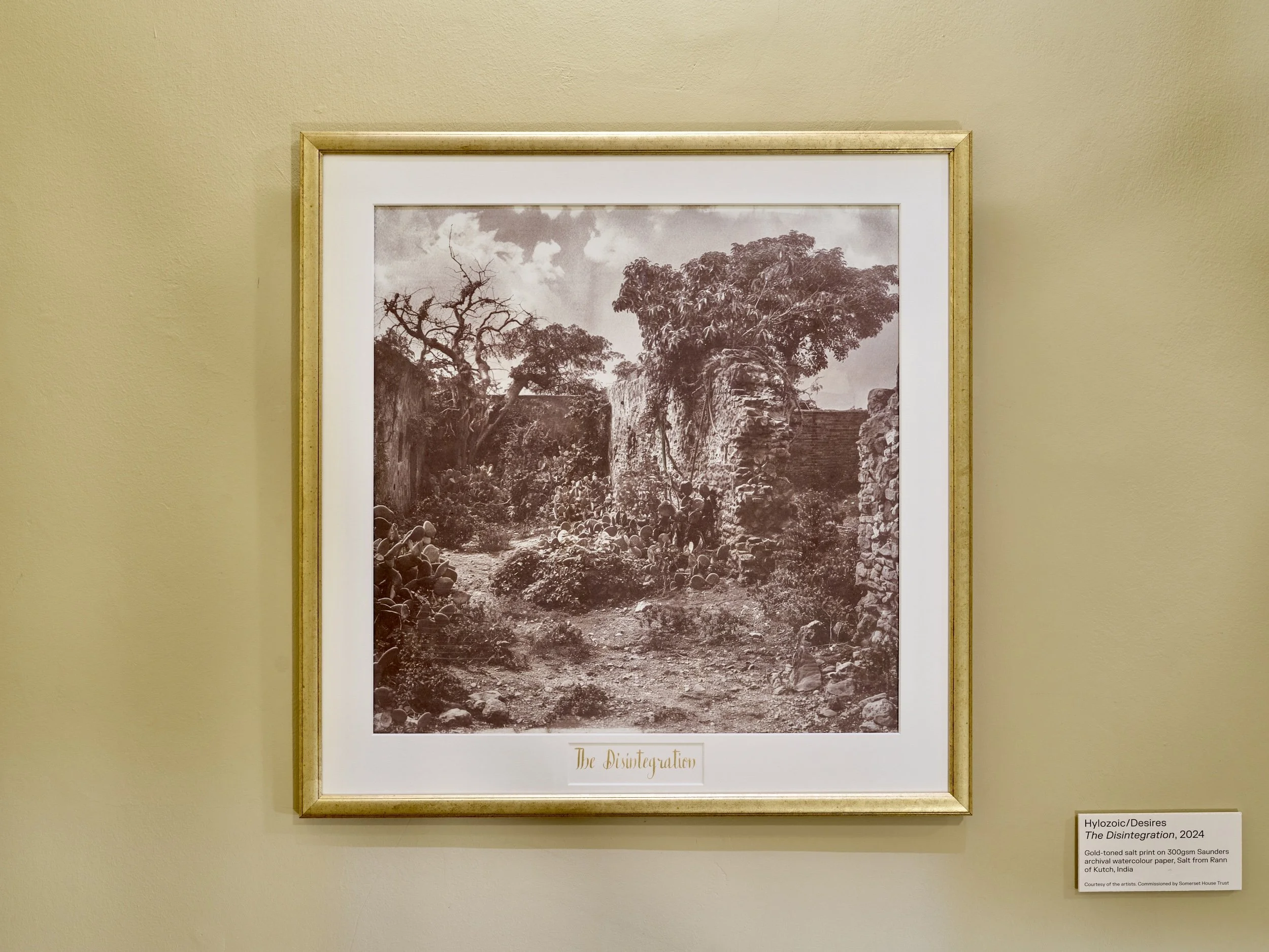  Image courtesy Reinis Lismanis/Somerset House Trust 