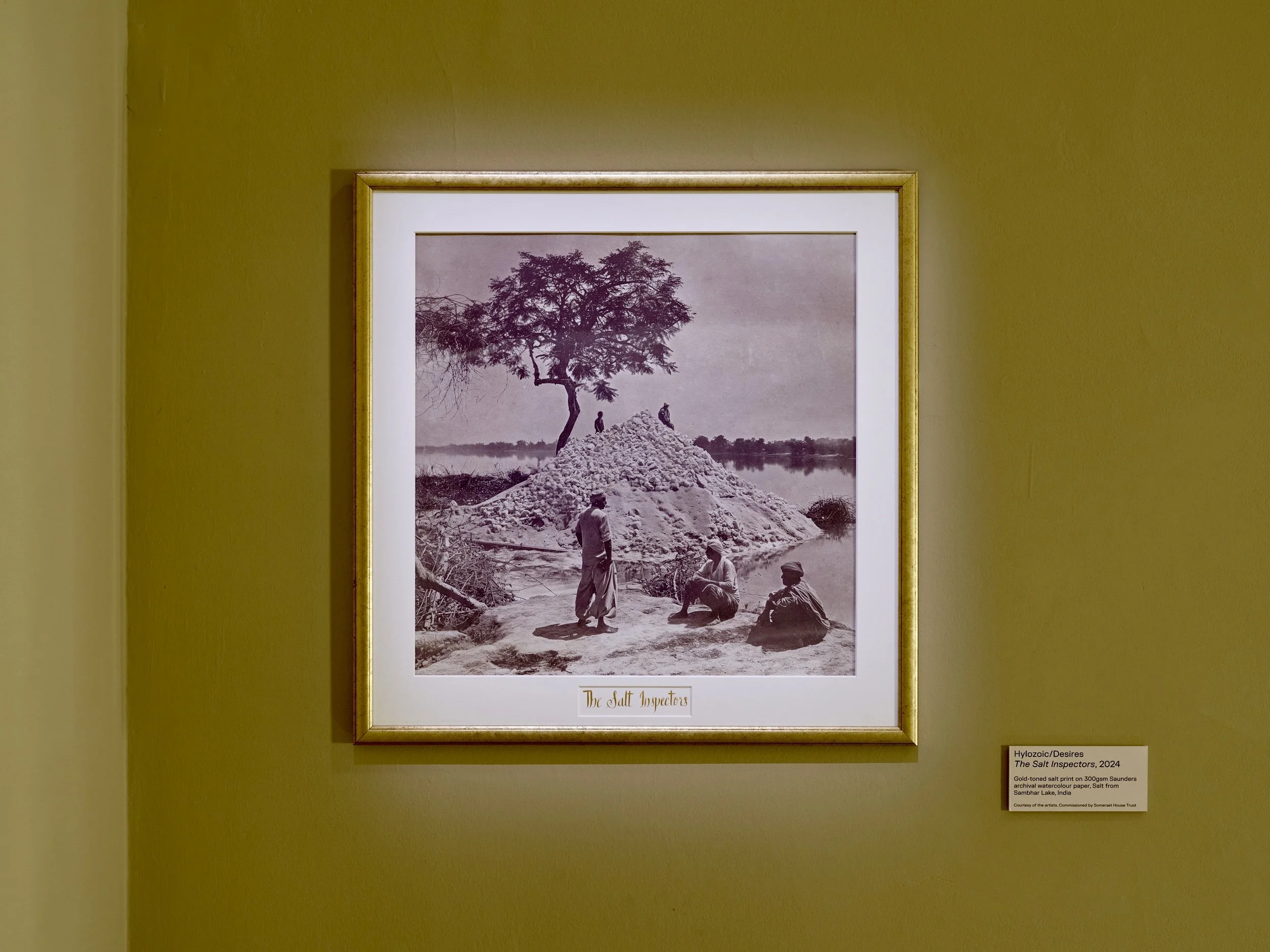  Image courtesy Reinis Lismanis/Somerset House Trust 