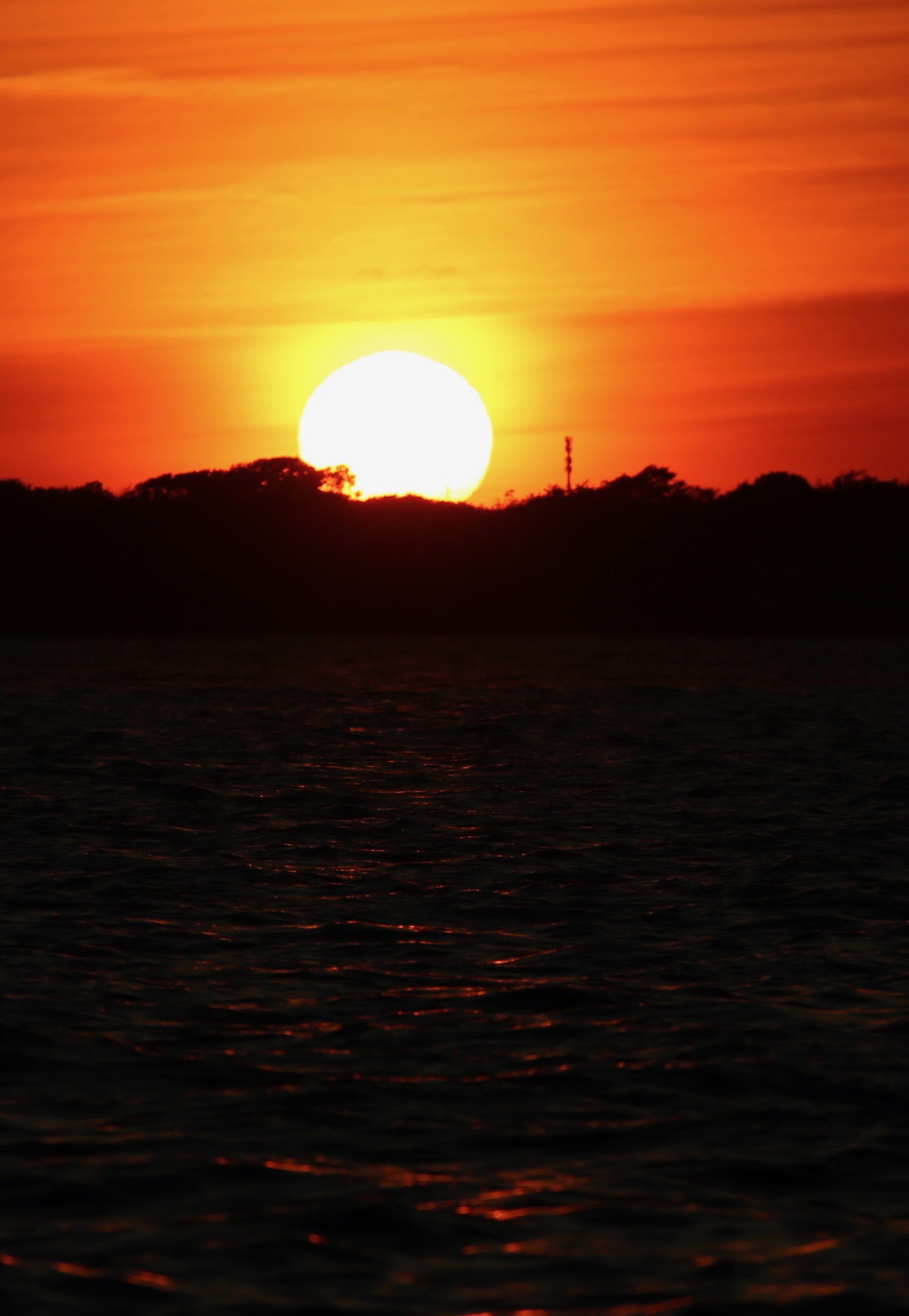 TTL062719 - 7.jpg