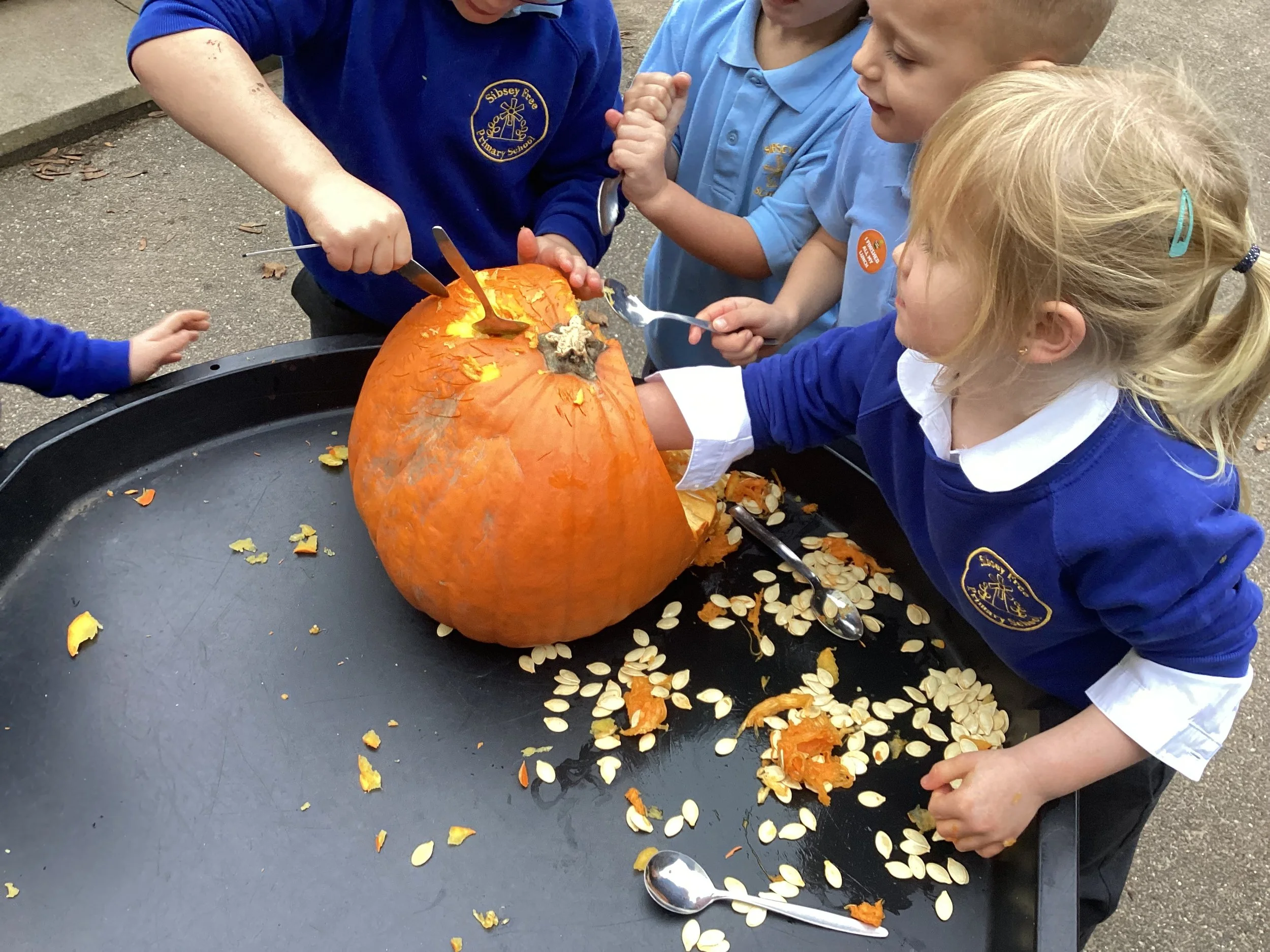 exploring pumpkins.JPG