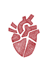 Website Assets-min.png