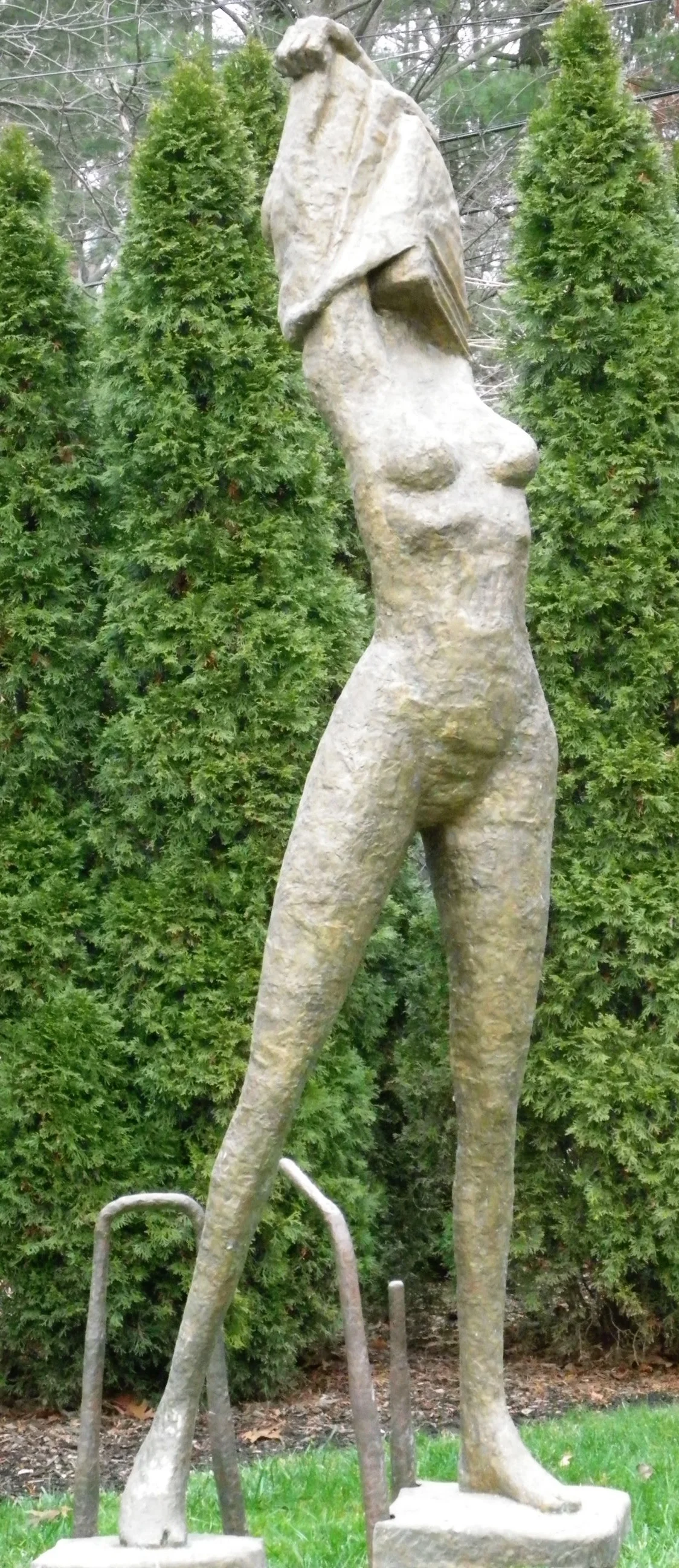 IMGP0646.jpg
