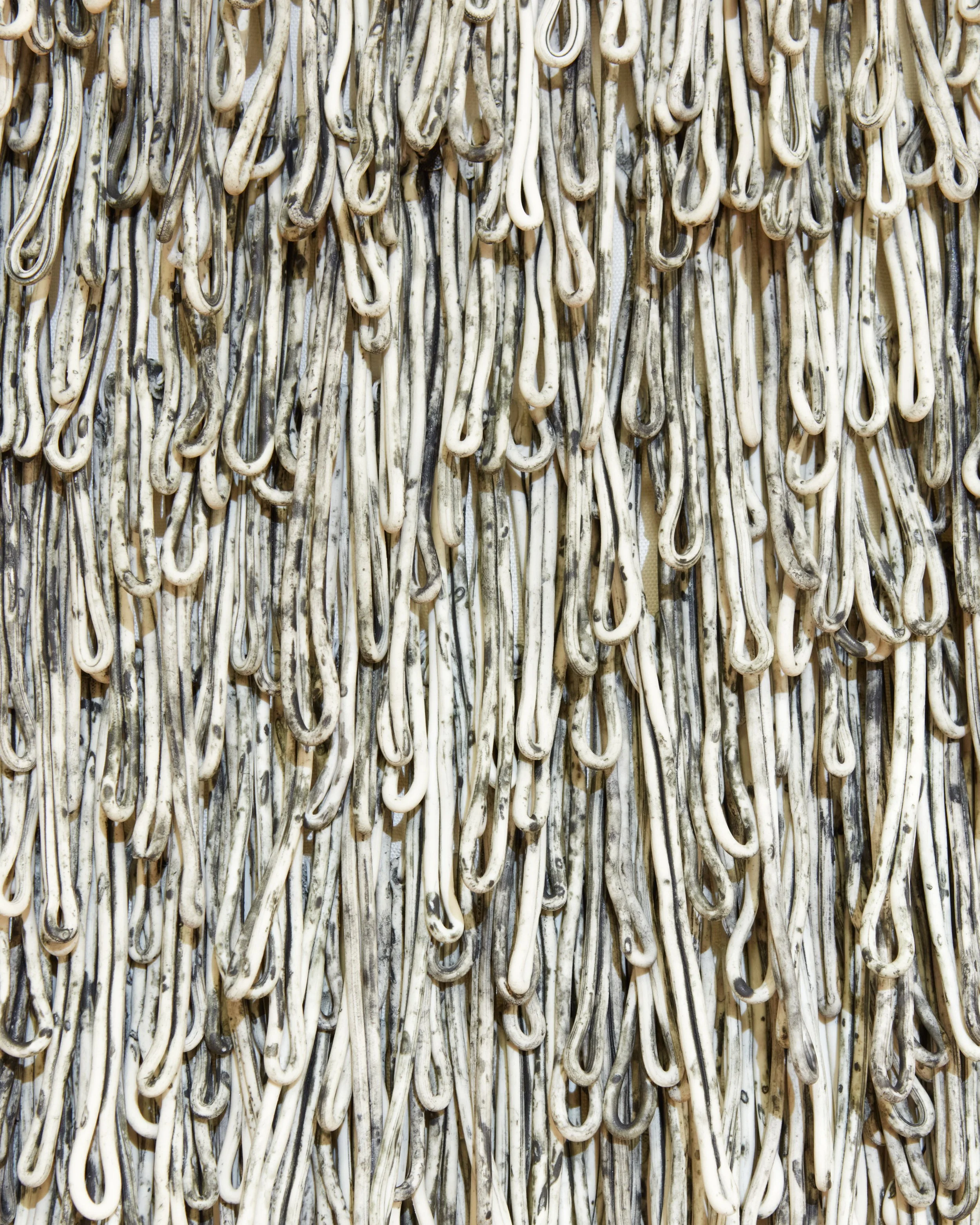   Retrices (Mockingbird) , detail 