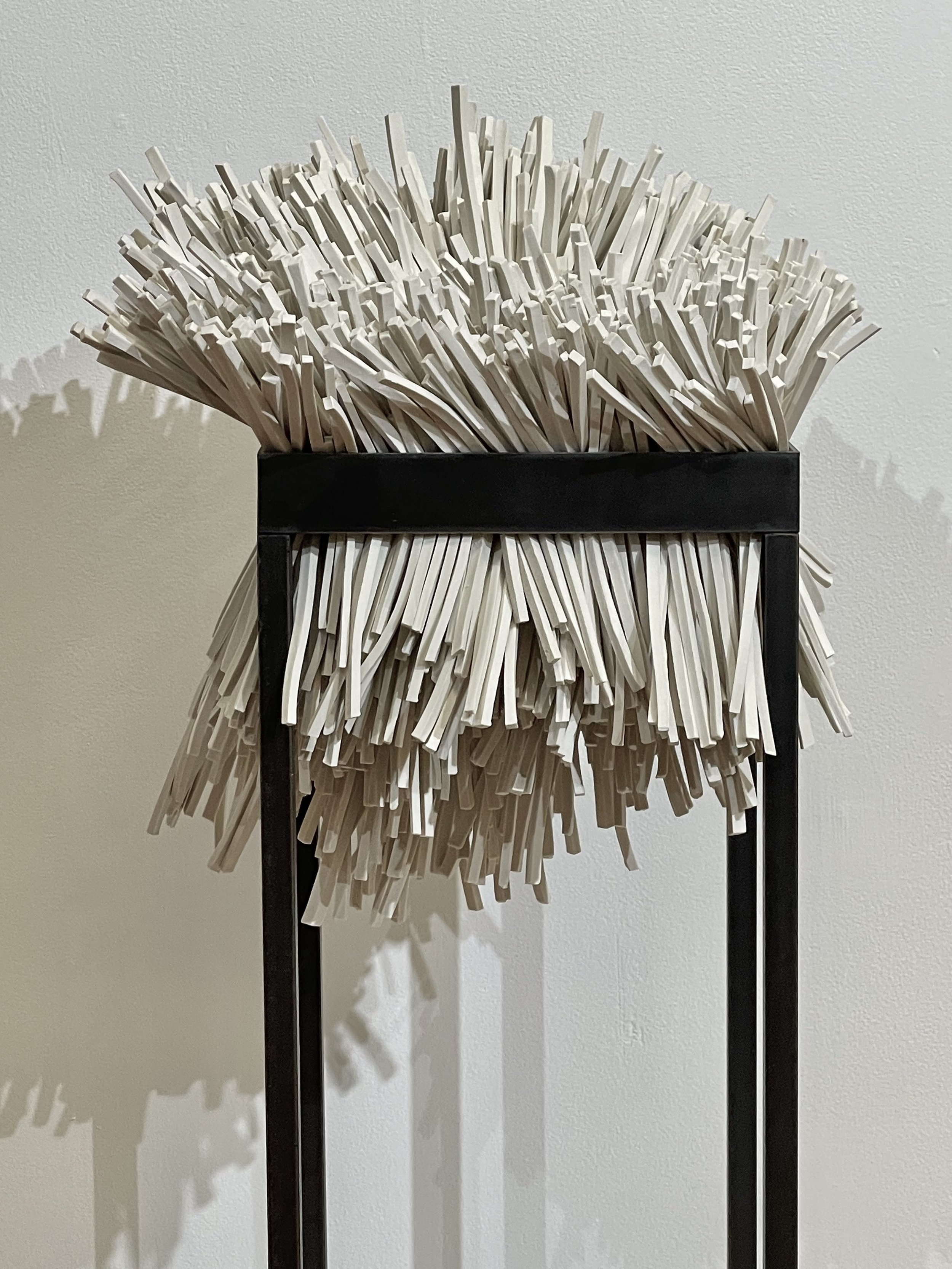   Leersia , porcelain and steel 