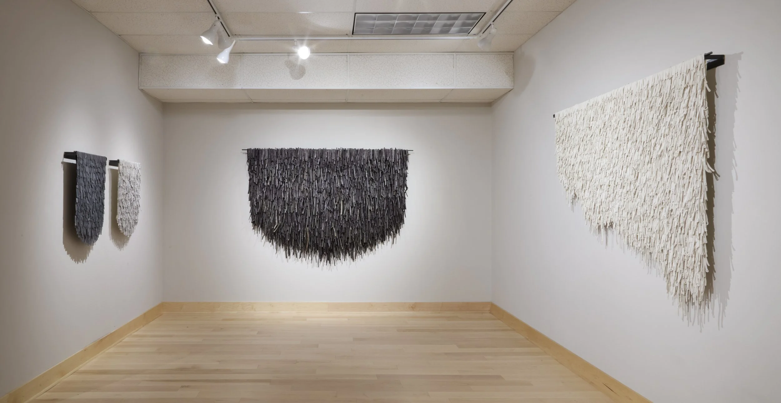  Exhibition view, GreenHill Center for North Carolina Art 