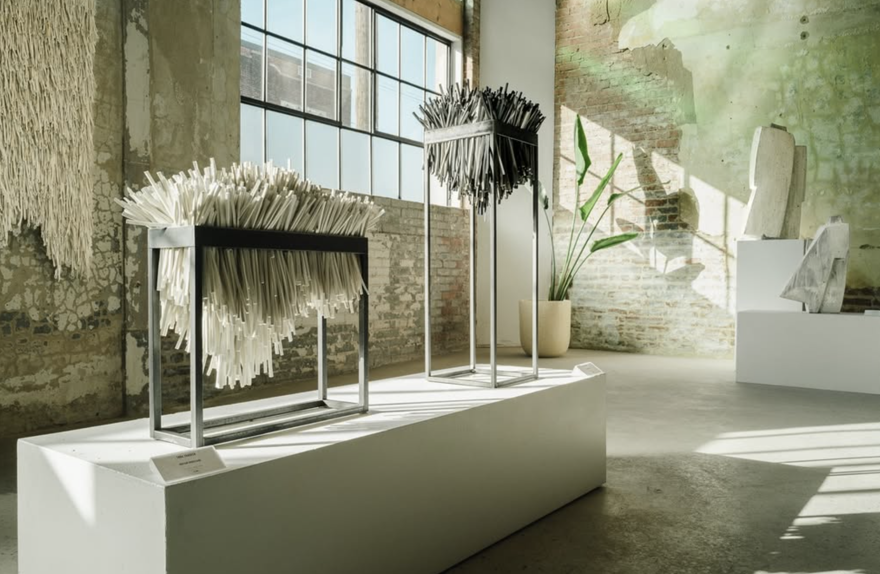  Exhibition view, Cohab Space 