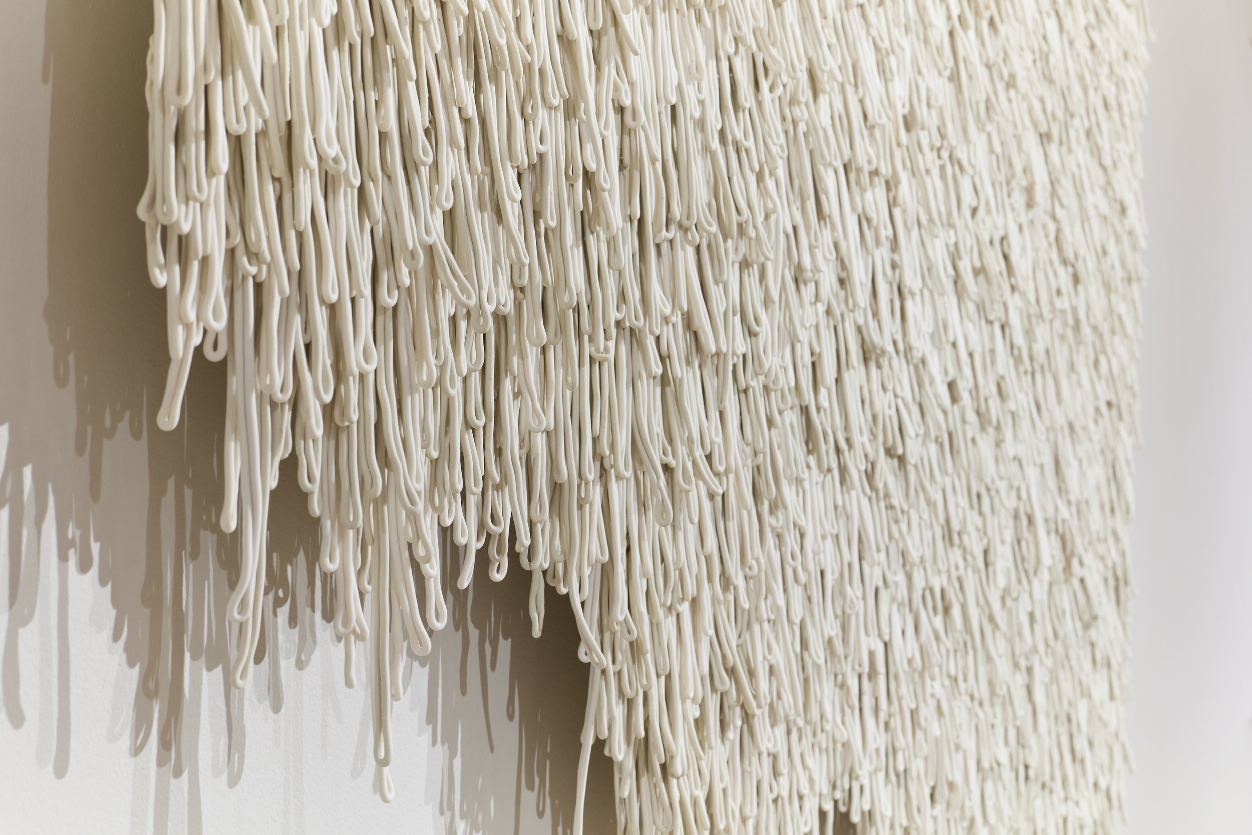   Remiges (Gannet) , detail 