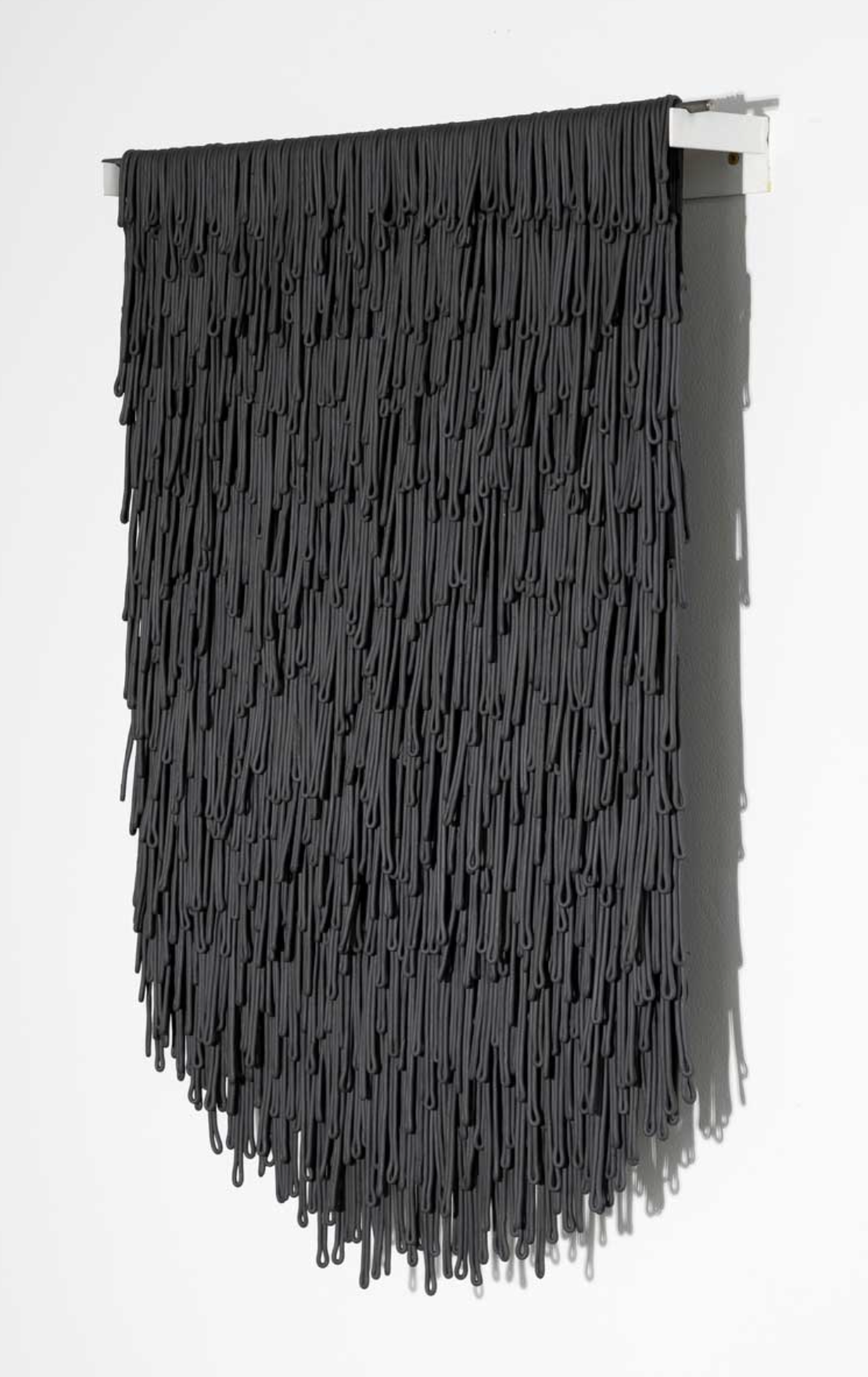   Retrices (Raven) , black clay on canvas 