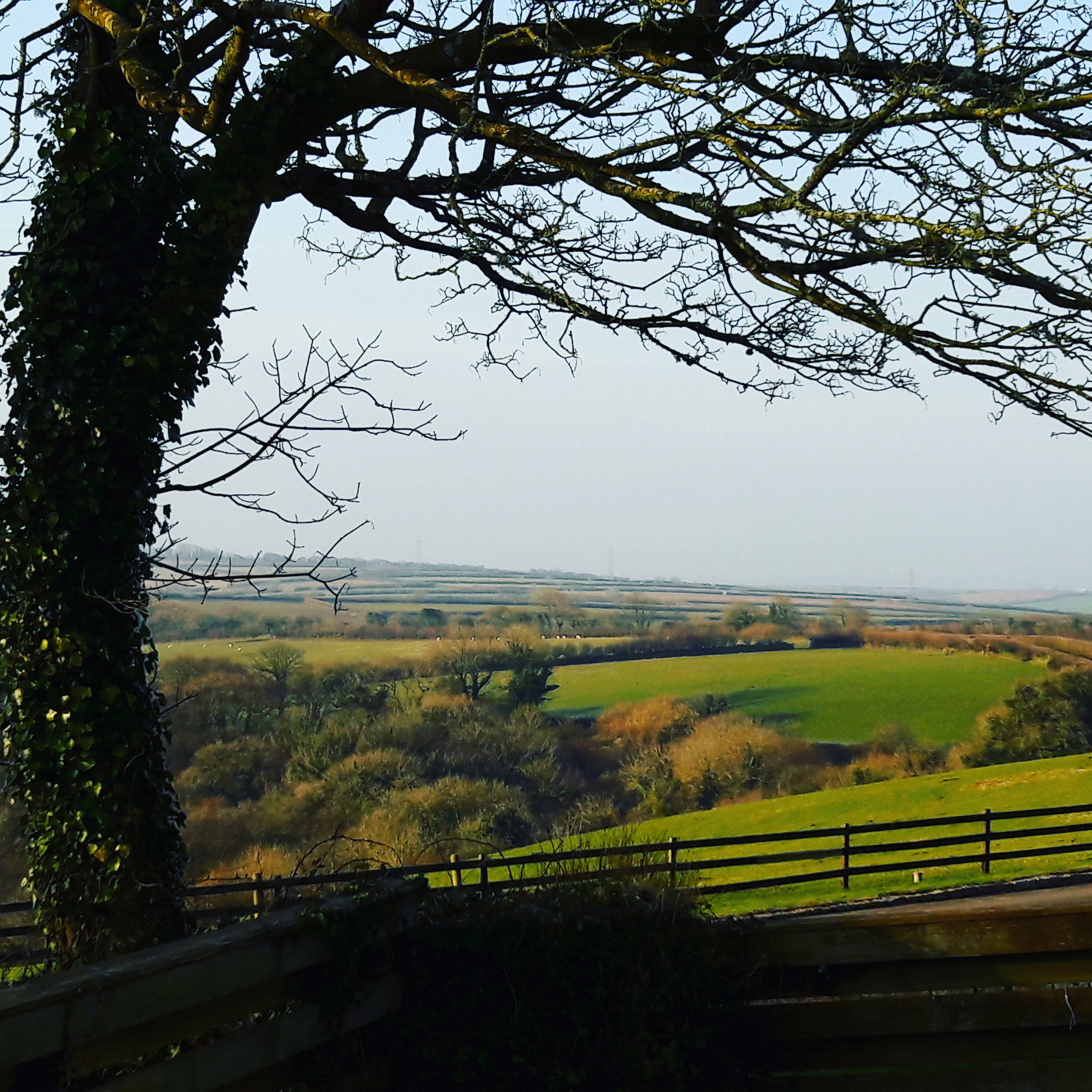 The view from the cottages in Cornwall Penrose Burden luxury holiday cottages.jpg