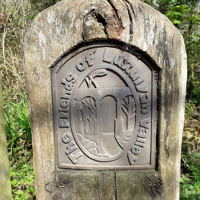 This afternoon we walked along the Luxulyan valley. A fantastic circular walk taking in some stunning scenery and seeing  nature reclaiming old mining and quarrying buildings. Well worth a visit.
.
.
.
#walking #cornish #cornwall #cornishhorizons #na