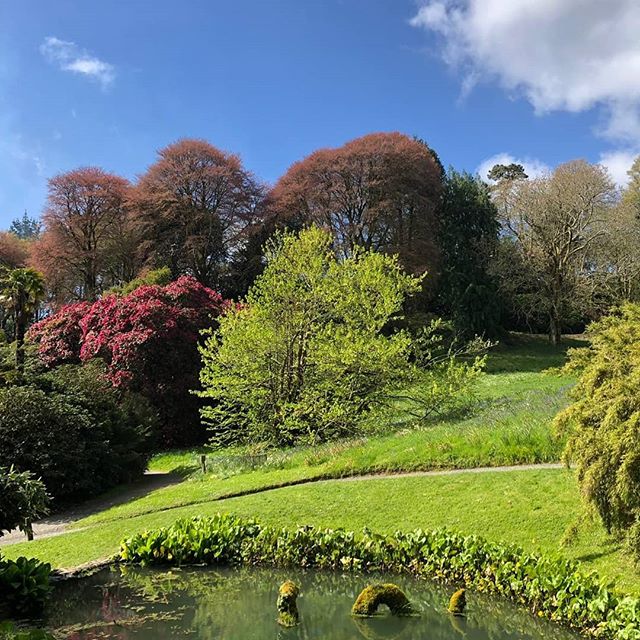 Our very first visit to @trebahgarden today. It was absolutely stunning and we really recommend it for a great day out whist staying at @penroseburden .
.
.
.
#gardens #cornwall #selfcateringcottages #holidaycottages #cornishhorizons #holiday #easter