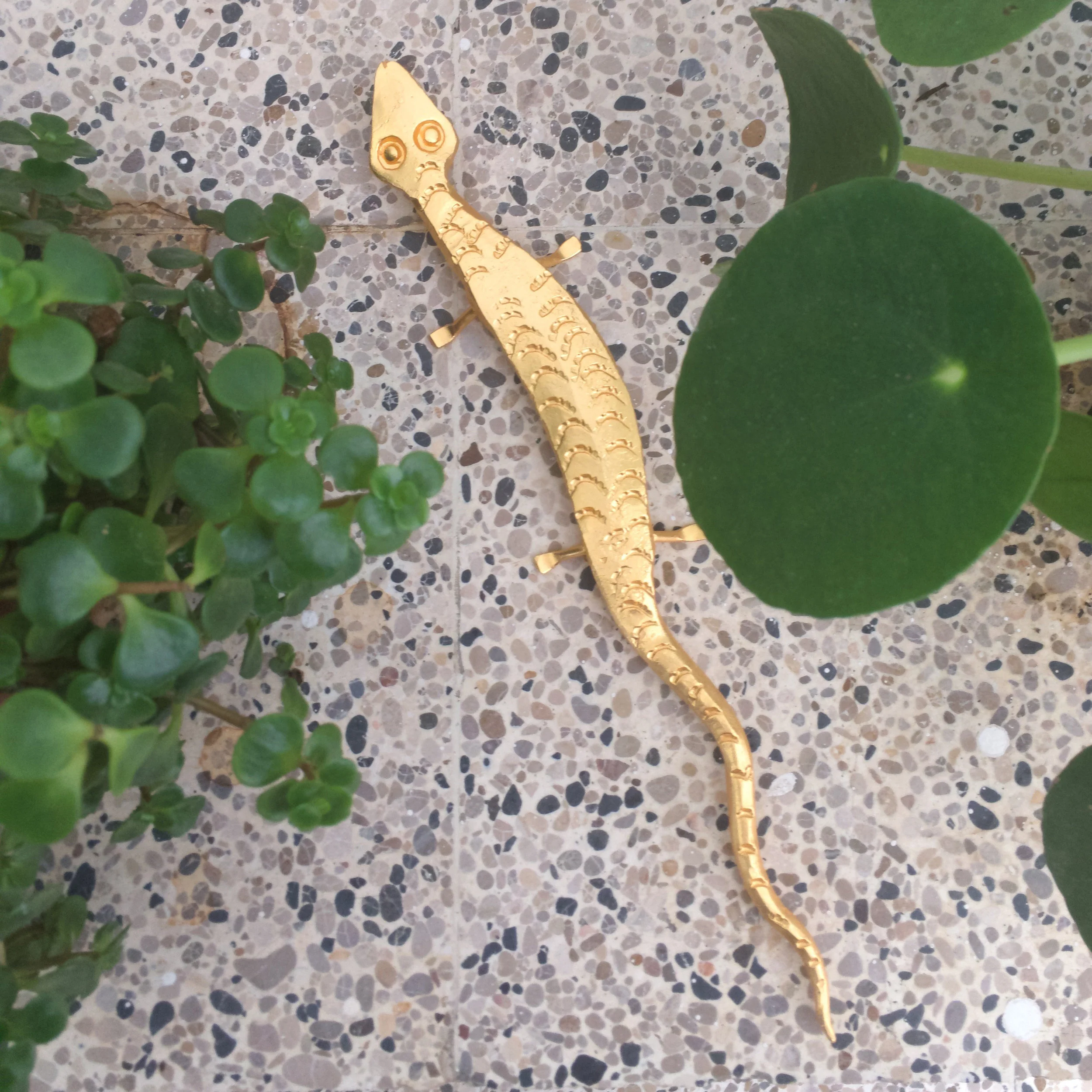 Vivarium_ST2017_Salamander.jpg
