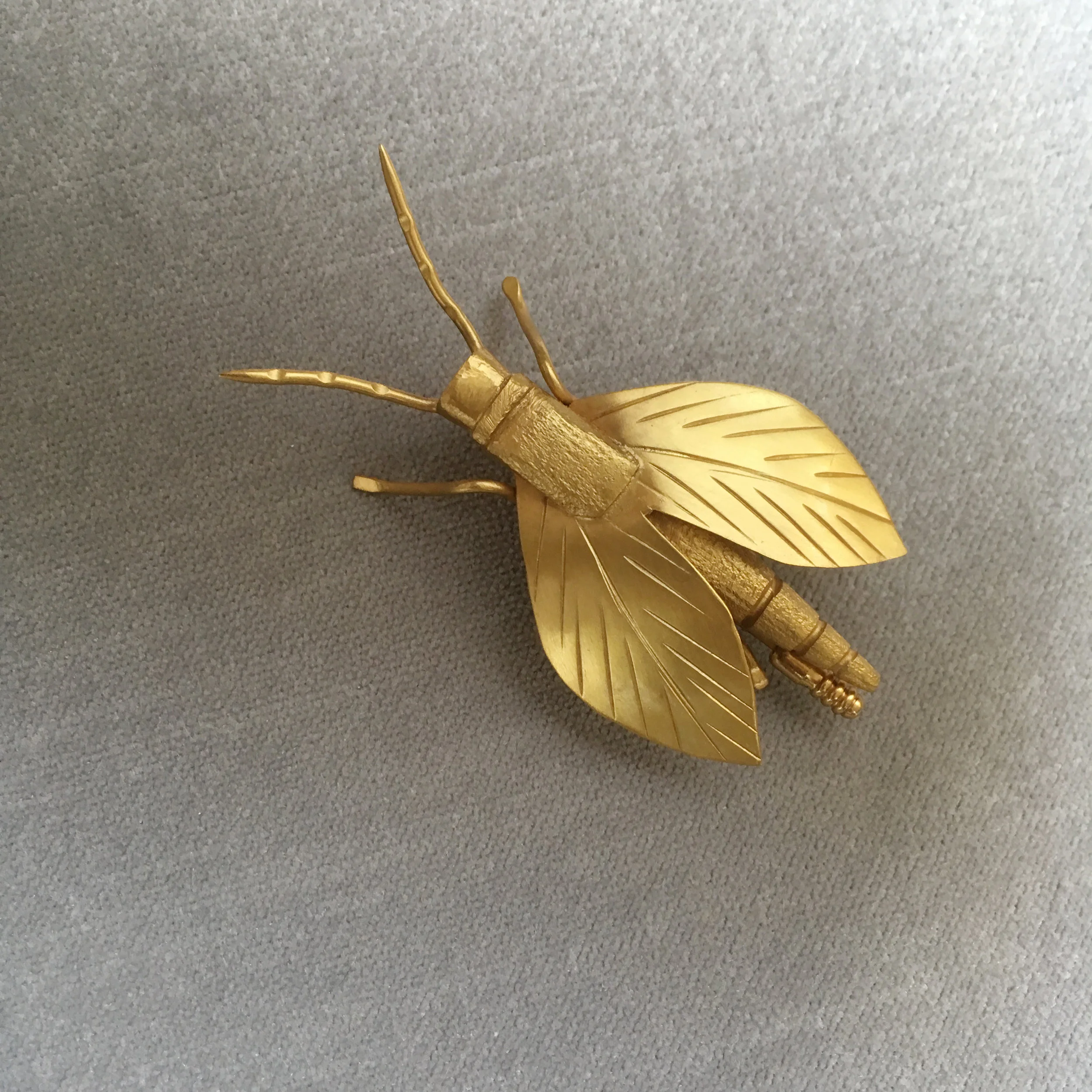 Vivarium_ST2018_Eusocial Hornet.jpeg