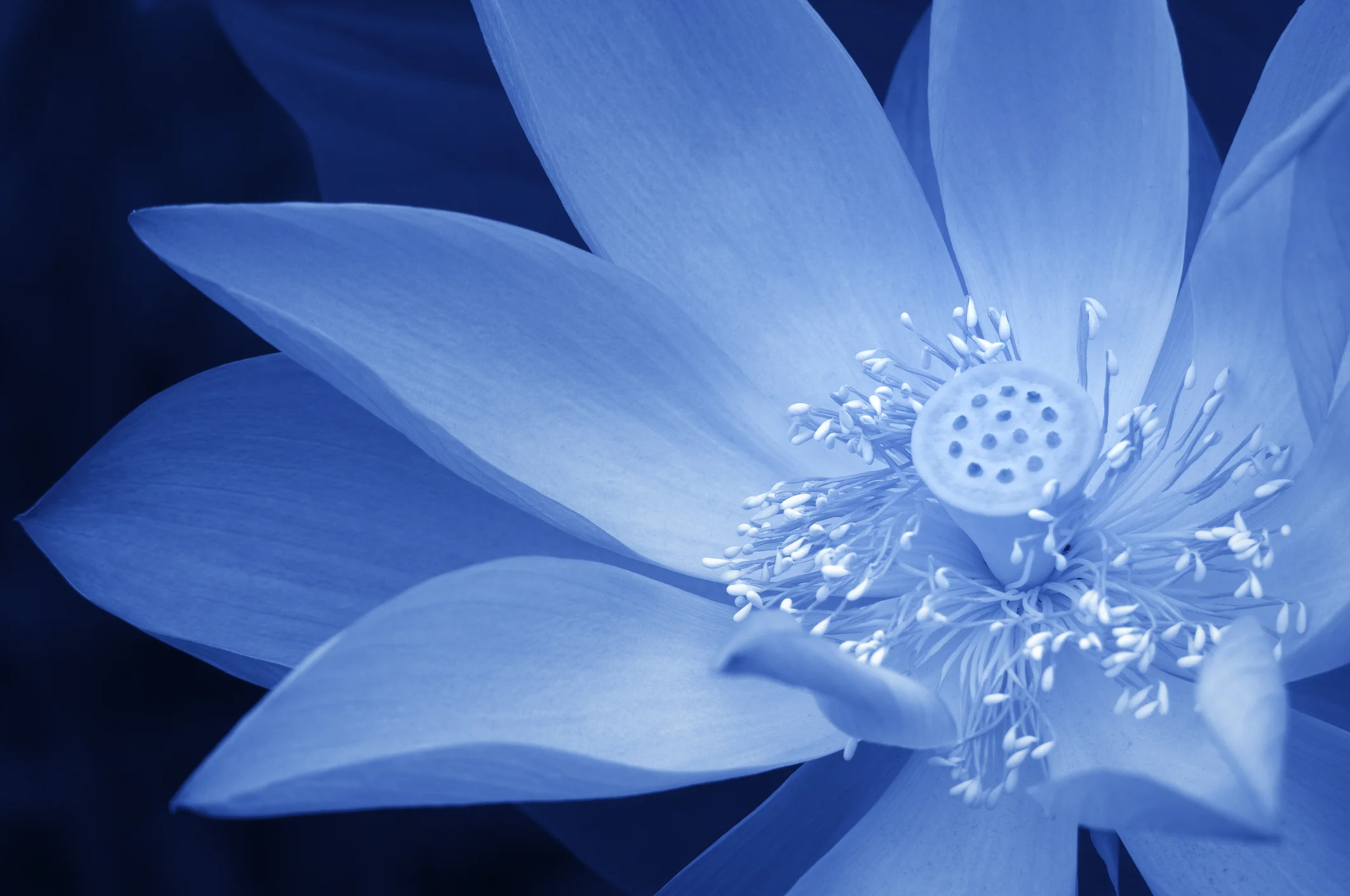 iStock-507299430.jpg