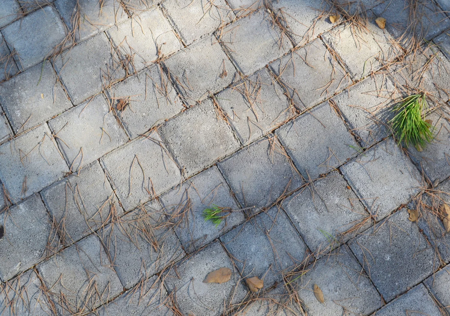 04-Paving.jpg