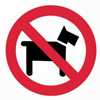 nodogs.jpg