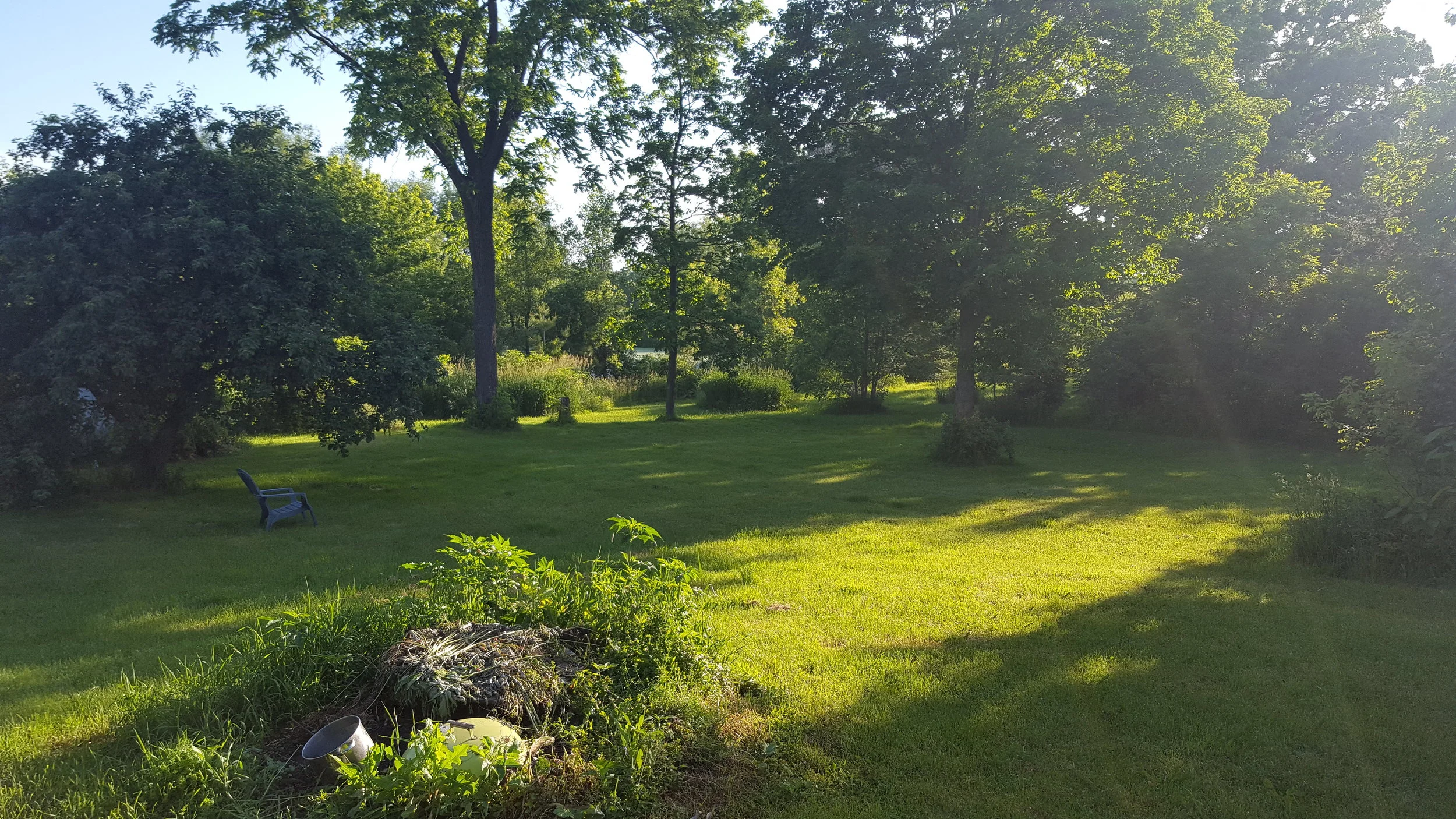 20170608_065404.jpg